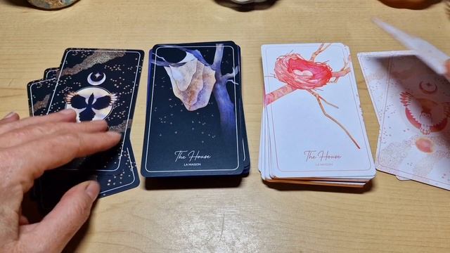 ?The Owl's Lenormand, un magnifique petit Lenormand auto-publié par @rozenngrosjean ? смотреть онлайн