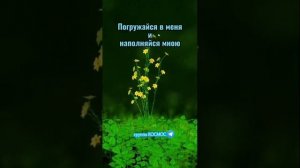 жизнь в истине