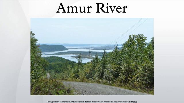 Amur River смотреть онлайн