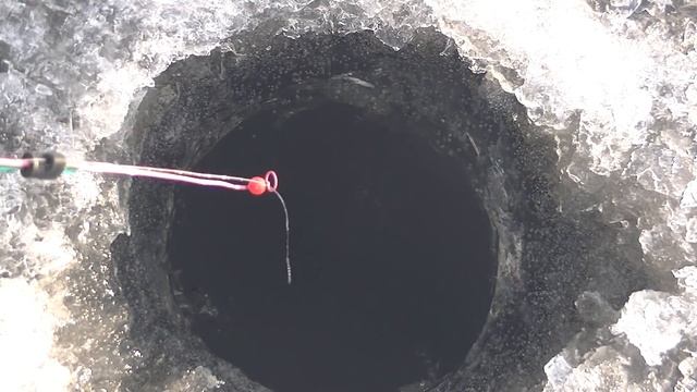 Мешок Окуня с Одной Лунки! Сезон Льда и Жор Окуня Открыт! смотреть онлайн