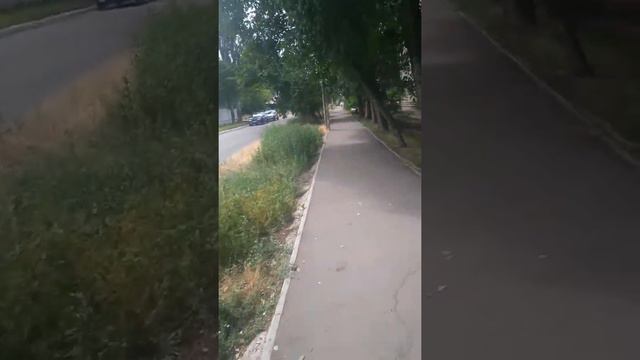 2 Часть Я Вишол со Школы и Забрал Свое Личное Дело. смотреть онлайн