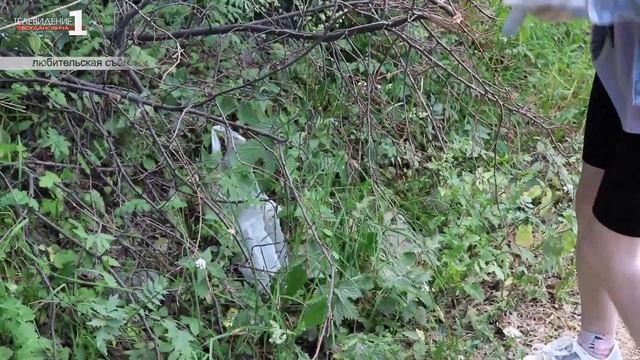 На территории города Богданович был очищен берег реки Кунара смотреть онлайн