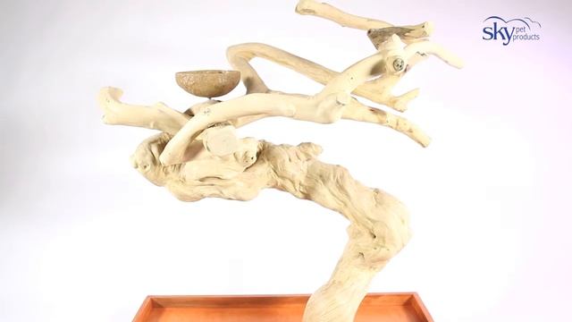 Bird Branches & Trees - Java Mini Tree - Sky Pet Products смотреть онлайн