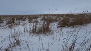 Четыре Сникерса / Охота на Кабана с подхода 2023 /  Boar hunting   4K