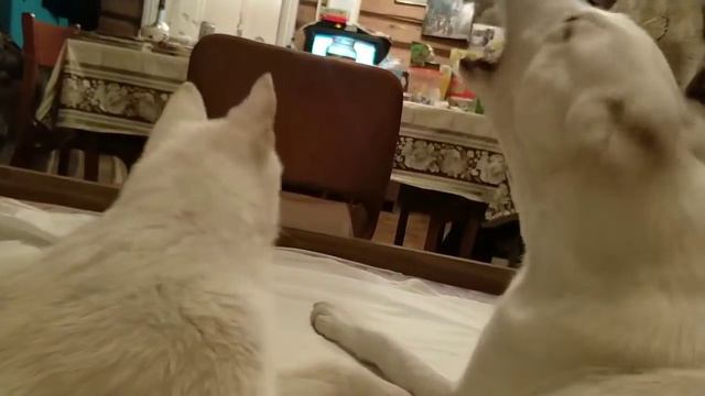 Лайма и Злата на охот базе смотреть онлайн