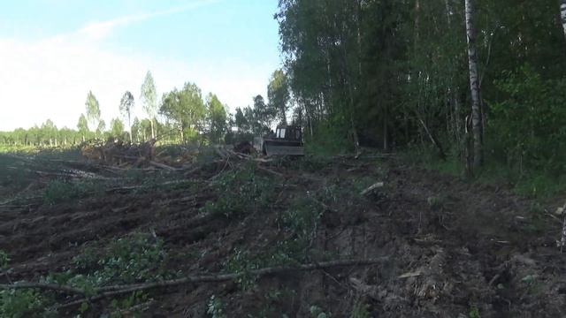 Заготовка ЛЕСА на волоках часть 2. Сломало палец на гусенице. Трелевка леса. ТЛТ-100..... смотреть онлайн