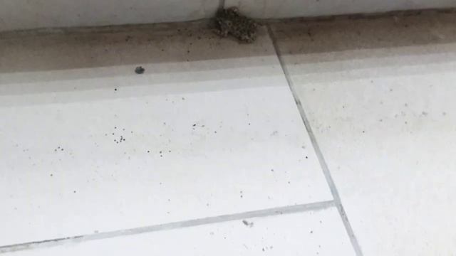 Сакрамар у меня на работе смотреть онлайн