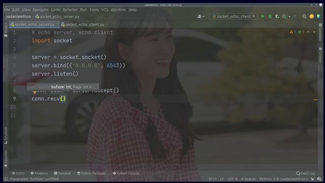 파이썬 네트워크 프로그래밍 세번째 시간 - Echo Server와 Echo Client 만들기 смотреть онлайн