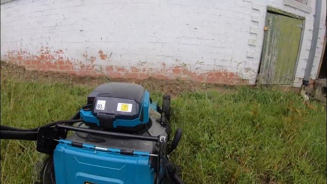 Whole yard transformation from the Makita DLM532 point of view. Mowing down TALL grass battery mowe смотреть онлайн