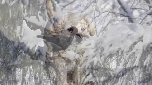 Славный день был - Стихи детям смотреть онлайн