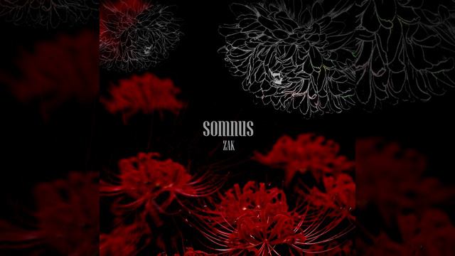 somnus - zak смотреть онлайн