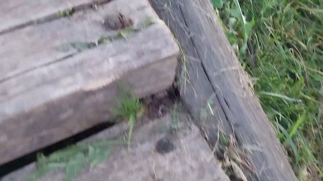 Святые места//Россия-Боровск?//Тишина, красота, дух захватывает// смотреть онлайн