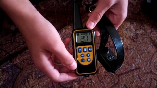 Собака Не Слушается/Убегает/Что делать/Простое Решение Всех Проблем/Dog Won't Listen смотреть онлайн