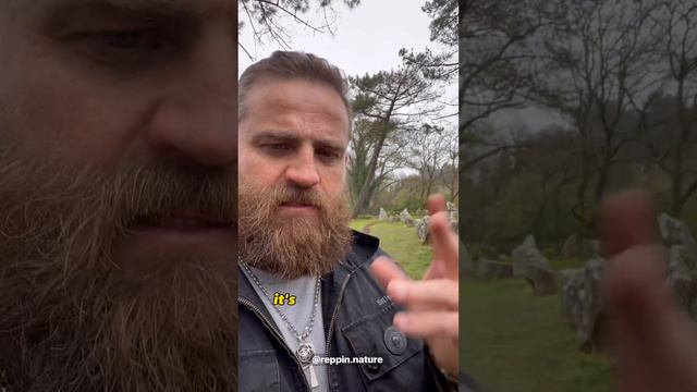 Alignments Du Petit-Ménec | A hidden magical stone row in Carnac смотреть онлайн