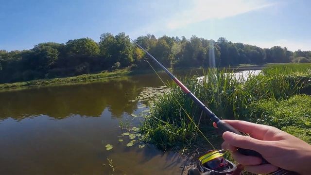 ЖОР ЩУКИ НА КЛЯЗЬМЕ / Рыбалка на Спиннинг / Team Dubna Generation 2 смотреть онлайн