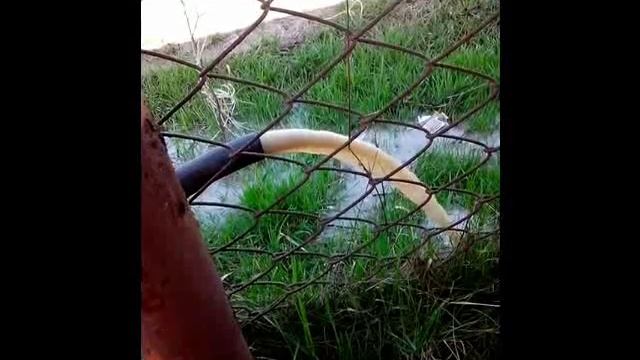 Скважина на песок в Ромашке. смотреть онлайн
