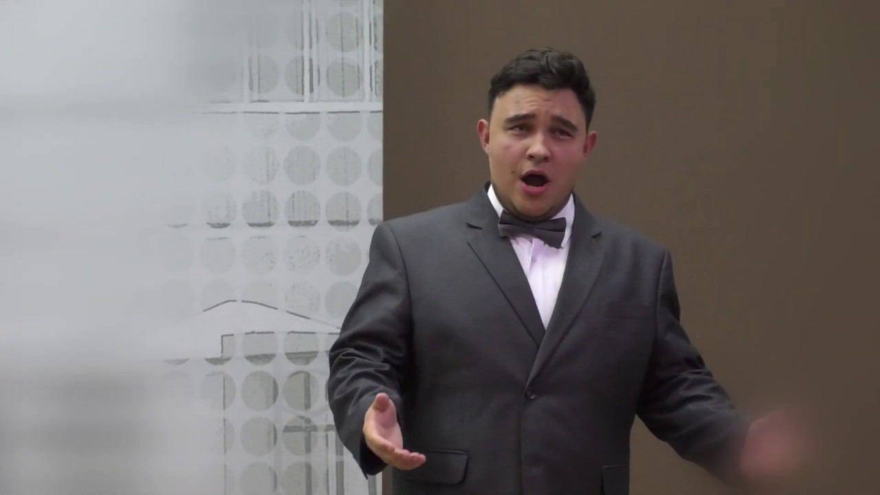 В.Плахатнюк /Музыка П. Чайковского Слова Л. Мея. Нет, только тот, кто знал/