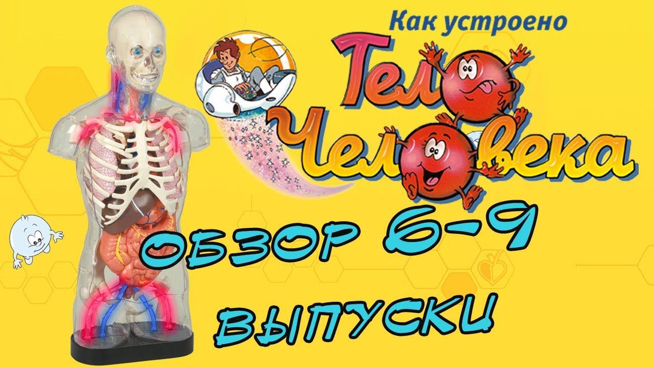 Как устроено тело человека. DeAgostini | 6-9 выпуски смотреть онлайн