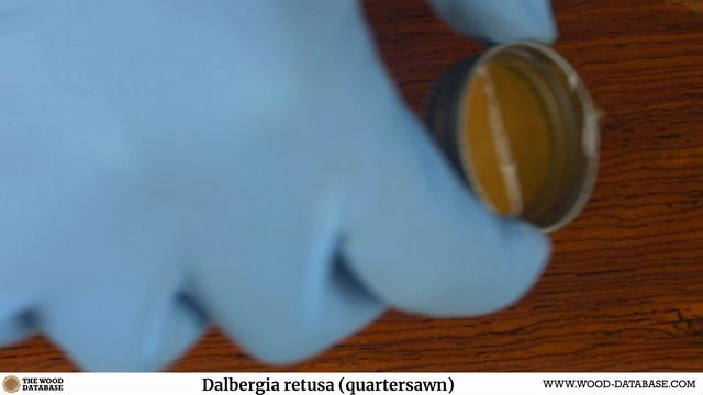 Cocobolo (Dalbergia retusa) смотреть онлайн