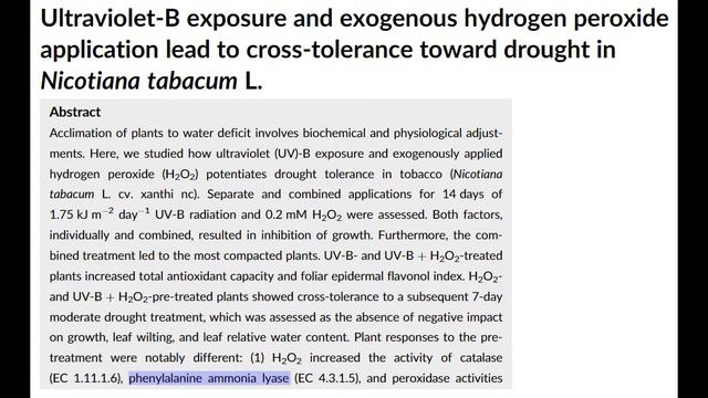 [ультра]Фиолетовый лазер, пигментация смотреть онлайн