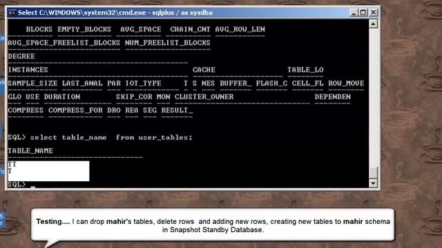 Oracle Data Guard 11g - Overview Snapshot Standby Database смотреть онлайн