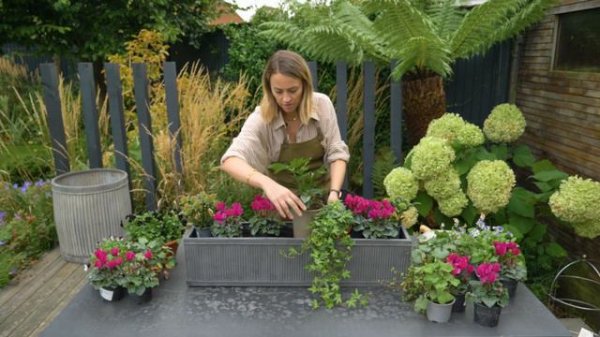 Meet the expert: top tips for getting your garden autumn ready