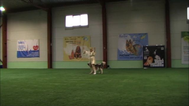 Рязанцева Оксана И Эгберт, класс Открытый фристайл смотреть онлайн