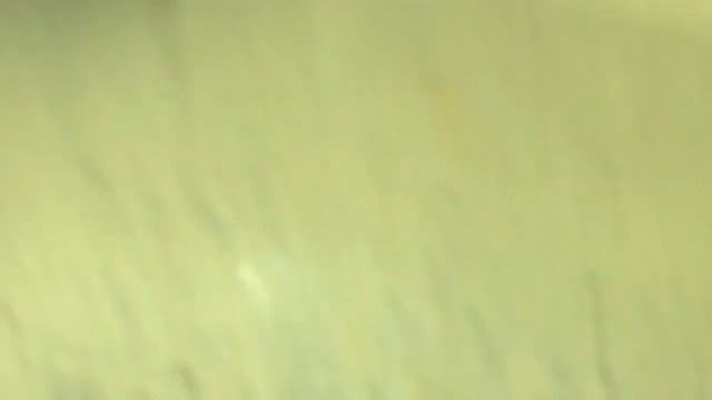 Рено Кенго 2 замена САЙЛЕНТБЛОКОВ задней балки! Kangoo 3 SILENTBLOCK. Citan. Scenic 3. Megane 3.Cli смотреть онлайн