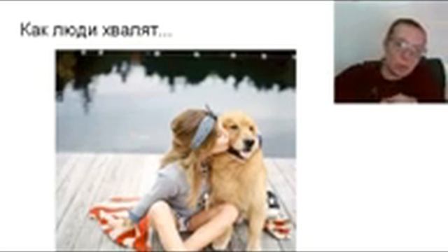 Как правильно хвалить собаку? Как научить работать за похвалу. Учимся правильно хвалить смотреть онлайн