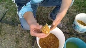 И снова на рыбалку на реку Аксай