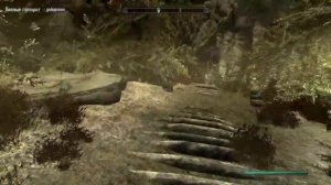 The Elder Scrolls V Skyrim - квест: Невидимые видения