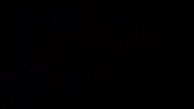 Вечер на даче и отзывы о фонариках спустя время.