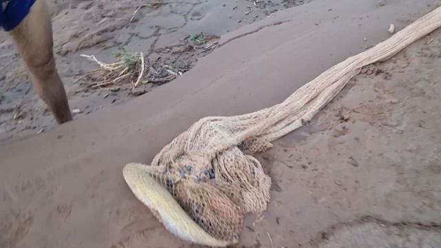 Рыбалка на кастинговой сетью сом мохиги дар ТАДЖИКИСТАН река сурхоб лака мохи Н. Восеъ смотреть онлайн