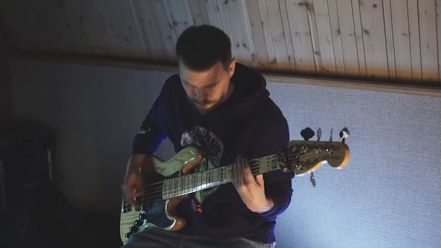 ARCHITECTS - ANIMALS BASS COVER смотреть онлайн