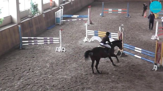 Кошляк Анастасия и Калипсо, чемпионат г. Алматы 1-е место, до 100 см (дети), 03-03-2023. смотреть онлайн