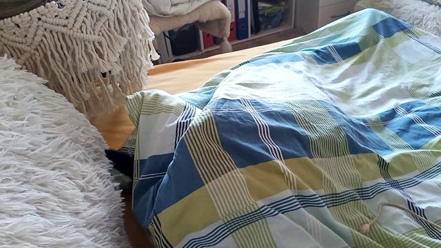 Дома тепло, а кошка залезает под одеяло. ПОЧЕМУ? смотреть онлайн