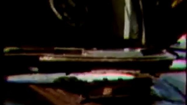 Die Schwarze Katzen Weisen Rossen