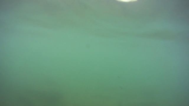 Sony Action Cam HDR AS20 под водой...часть 2 смотреть онлайн