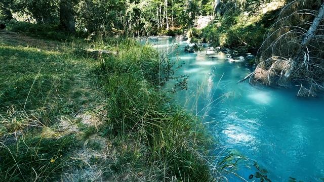 Прекрасная расслабляющая музыка • спокойная фортепианная.Sunny Mornings.Пение птиц.