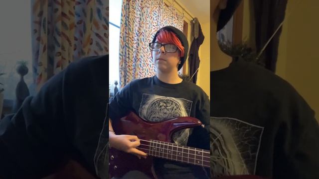 The World Is Ugly- MCR (Bass Cover) смотреть онлайн