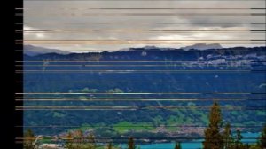 Птицы  Антон Макарский