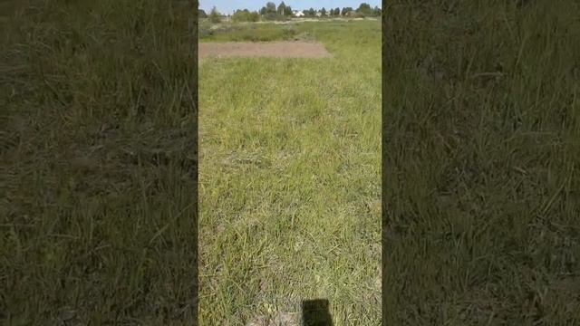вспашка поля своими руками