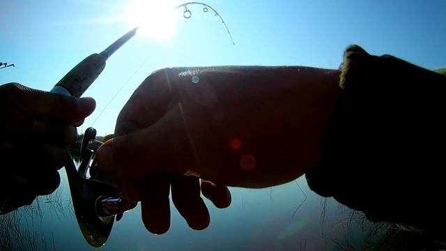 Ловля белой рыбы на червя. Рыбалка на донку без кормушки. смотреть онлайн