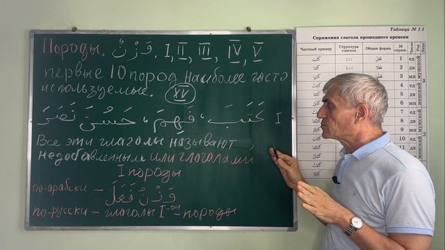 Урок № 5. Добавленные и не добавленные глаголы (породы). смотреть онлайн