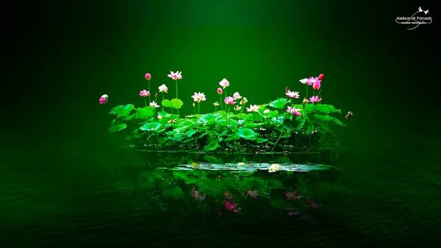 Частота 528 Гц | Расслабляющая музыка для медитации и йоги. Мusic picture. Мusic enjoy смотреть онлайн