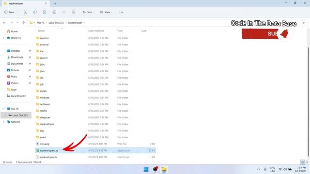 Step-by-Step Guide: Installing and Using SQL Developer for Database Management Oracle смотреть онлайн