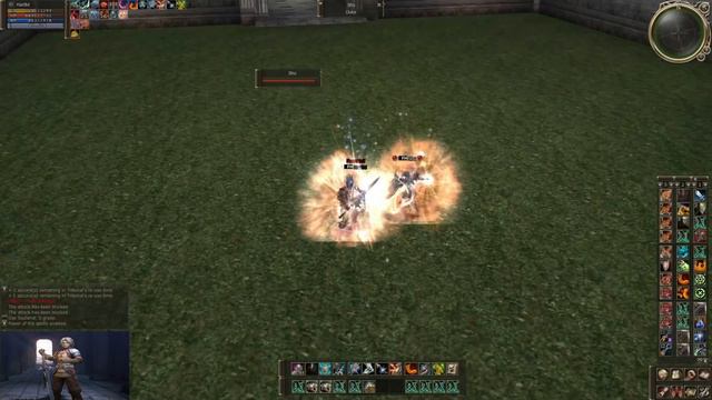 Lineage 2 Tox - Phoenix Knight Olympiad (Paladin) (2022) смотреть онлайн