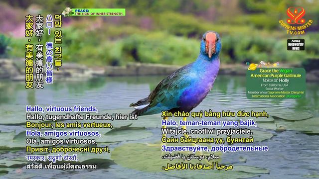 1927 Noteworthy News смотреть онлайн