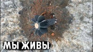 Переполох на фронте | Мы живы - фронтовая почта