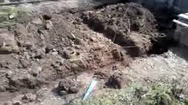 Сарай для кроликов смотреть онлайн